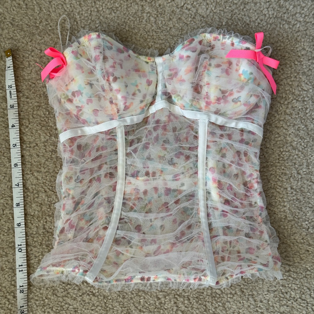 Victoria’s Secret Garden Fairy Tulle Bustier 34B